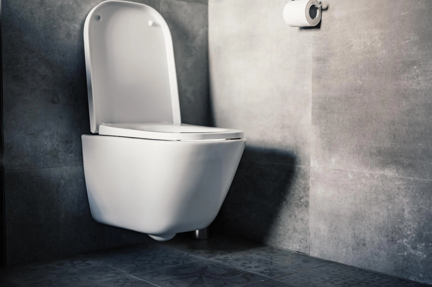 wall-mounted toilet Dublin